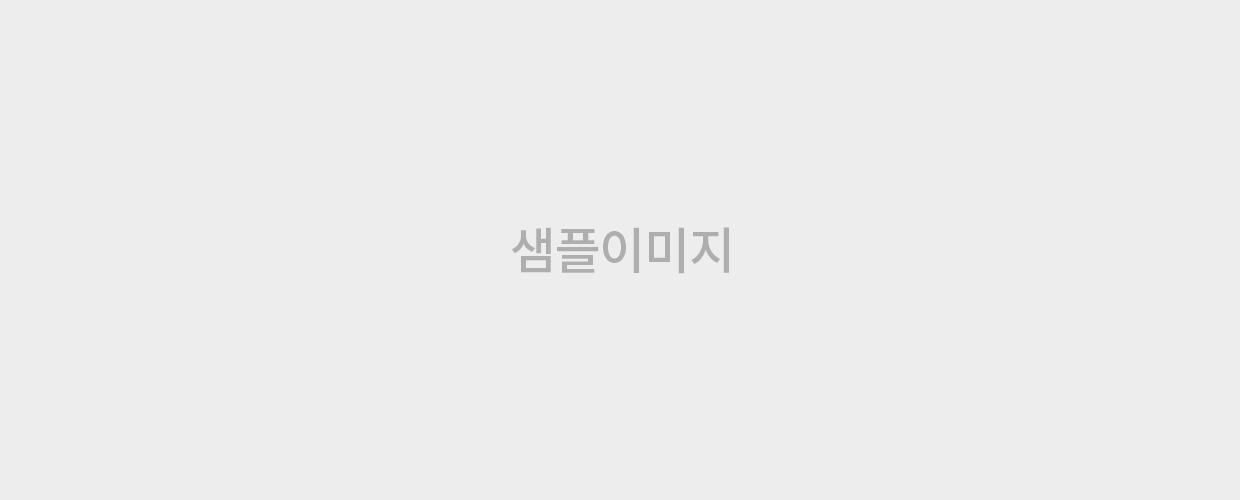 이미지에 대한 내용